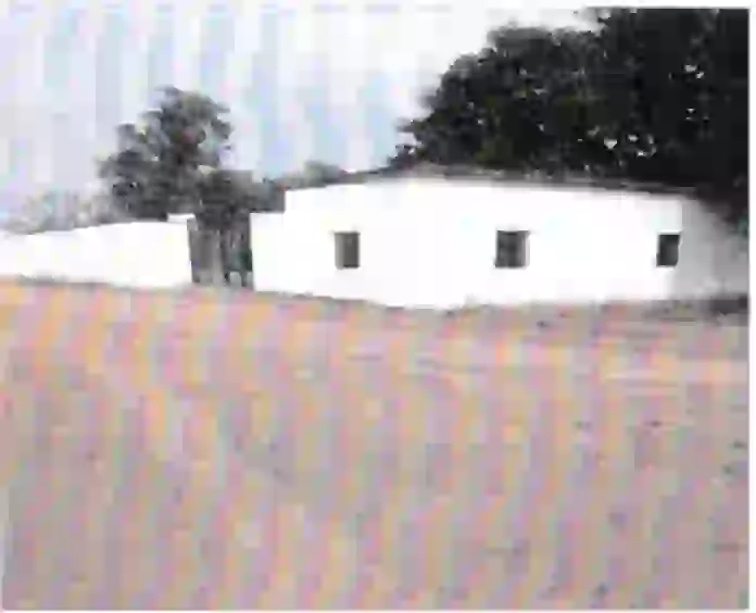 Agricultural land situated at Village Chaumukha, PO Pindi, Tappa Ballia Pargana and Tehsil Salempur Majhauli, District-Deoria. Area as per sale deed 00.120 Hect (as per measurement 0.1149 Hect).