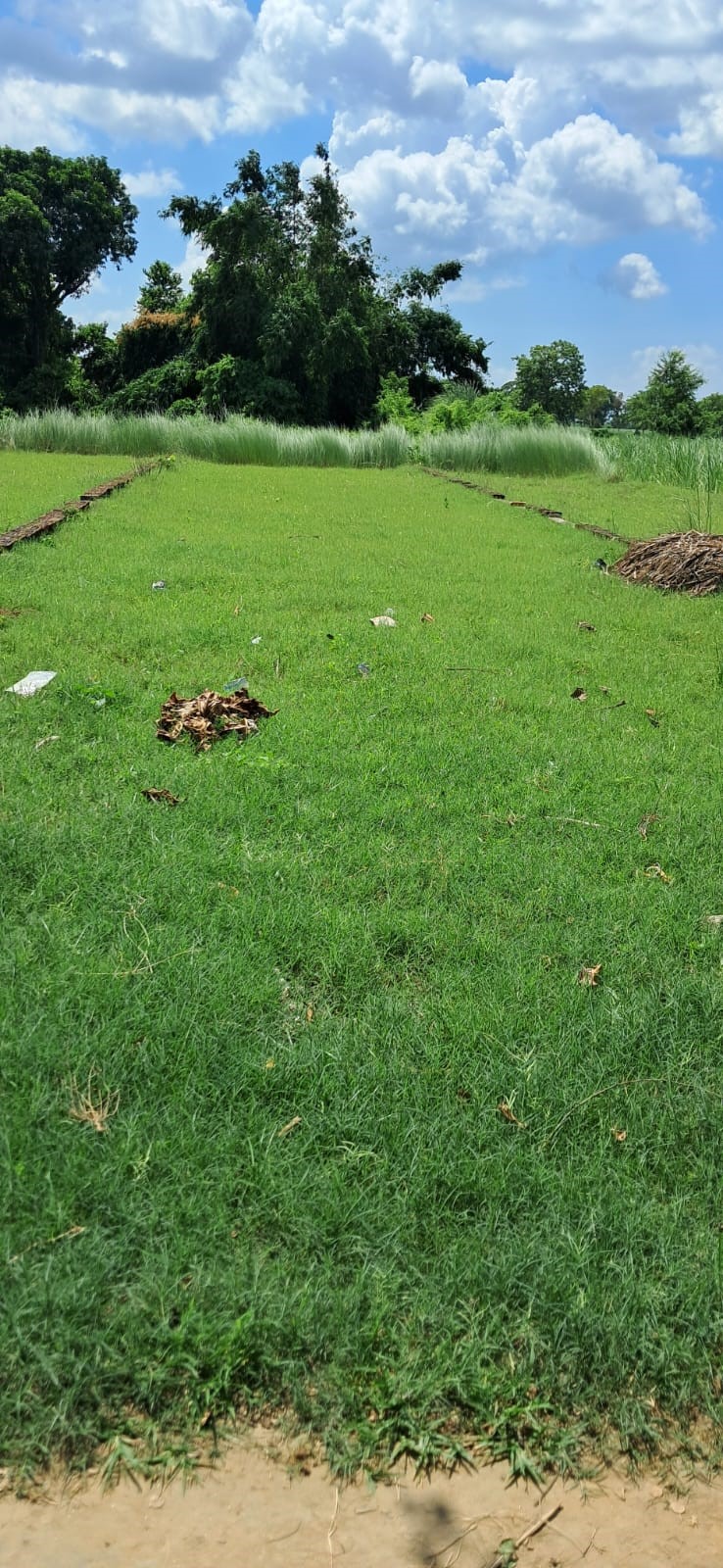 Individual House for Sale in Chinnamudalaipatti with standard residential features and amenities. | Agricultural land situated at Arazi No. 558, Mouza- Belwa, Palakdhari Singh, Tappa- Mainpur, Pargana- Sidhuwa Jobna, Tehsil Kasiya, District- Kushinagar measuring total land area 0.012 Hectare i.e. 120 sqmt. in the name of Smt. Sarita Devi Wo Sh Ravindra mortgaged through registered sale deed no 3965/2013 dated 28-10-2013. Boundaries (as per deed): East- Road, West- Land of Ganesh, North- Land of Asha Devi, South- Land of Ram Lakhan