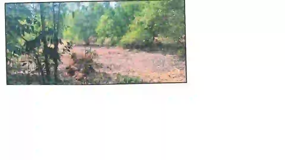 Agricultural Land measuring 0.91 acres in Sy no 34/1b at Enmoor Village, Sullia Taluk held in the name of ASri.Ashok Kumar with boundaries-East : Remaining land land in same SD Line, West : SD Line, South :SD Lineand North: remaining land in same SD Line