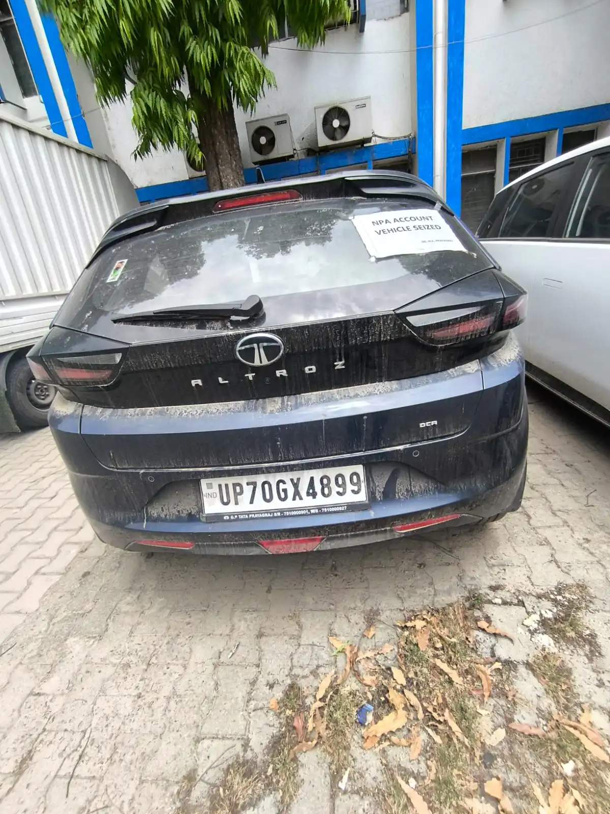 Auction Image