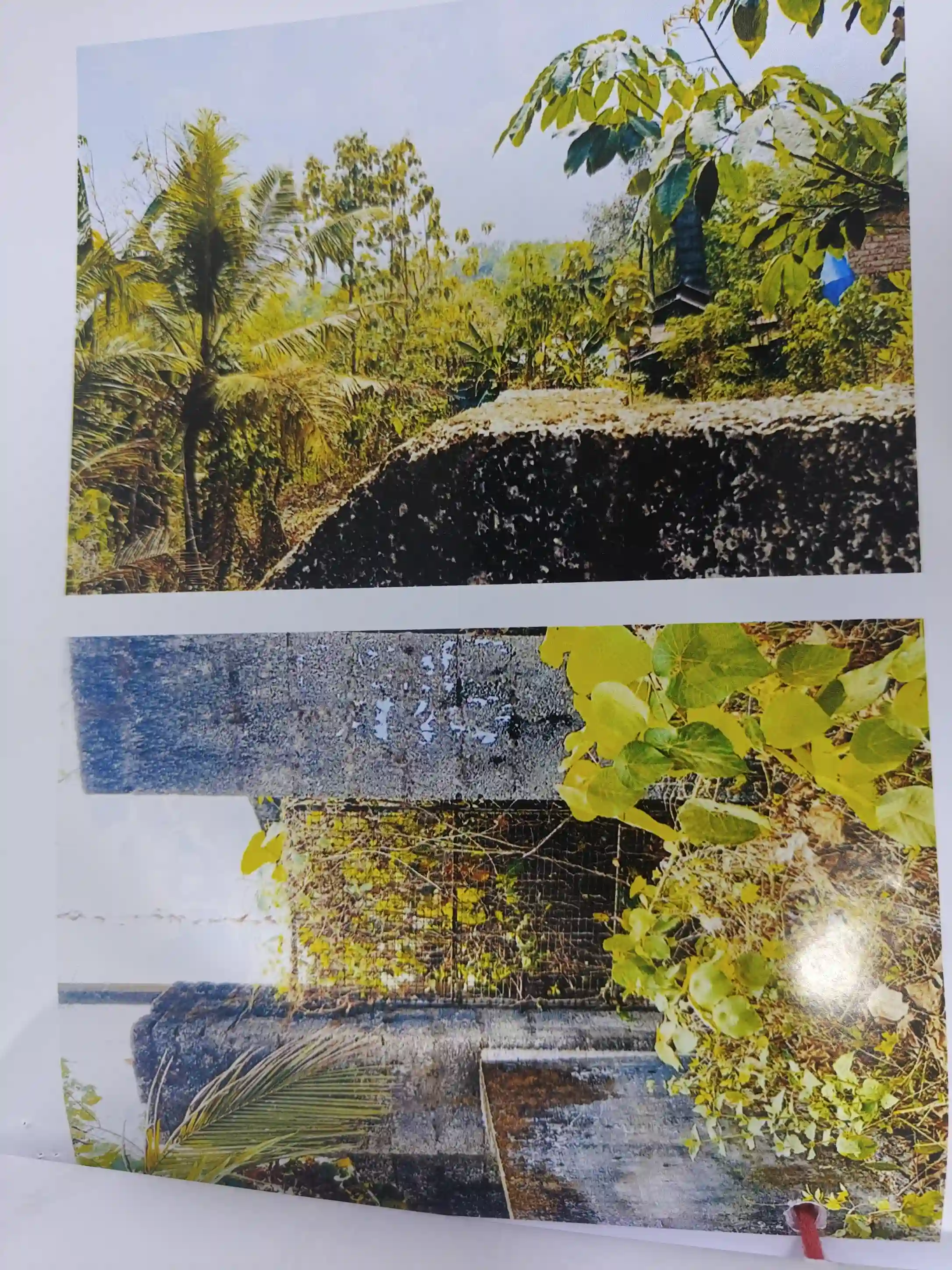 26.85 ares of land in Sy no 202/3, 202/4 & 202/5 in Block No 3 in Pavithreswaram Village along with factory building thereon at Kottarakara Taluk, Kollam District