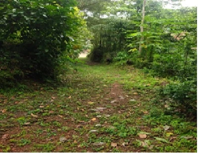 All that part and parcel of land measuring 10.12 Ares in Sy No.742/1-3-1, of Tholicode Village, Nedumangad Taluk Thiruvananthapuram District owned by Mr Justin Paul E C