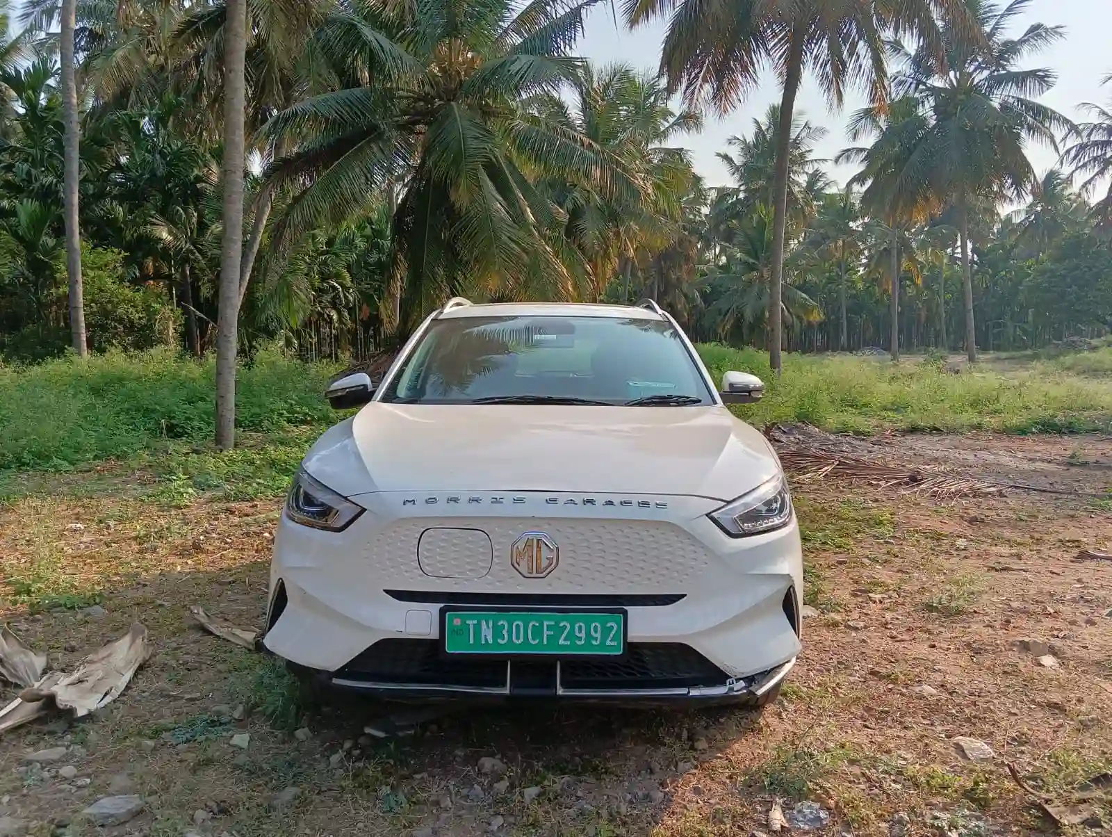 Auction Image