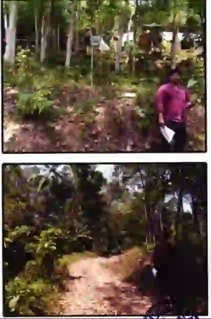 Residential land of 15 cents located in Mancode Village, Kanyakumari District, with boundaries as follows: East: Remaining Area, West: Property of Sivaraj, South: Property of Velayuthan and Maniyan, North: Sundarans property and remaining area.