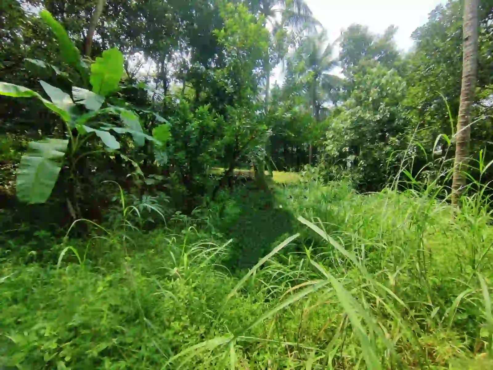 Land and other improvements located in Edavanna Amsom, Edavanna Village, Ernad Taluk, Malappuram District.
