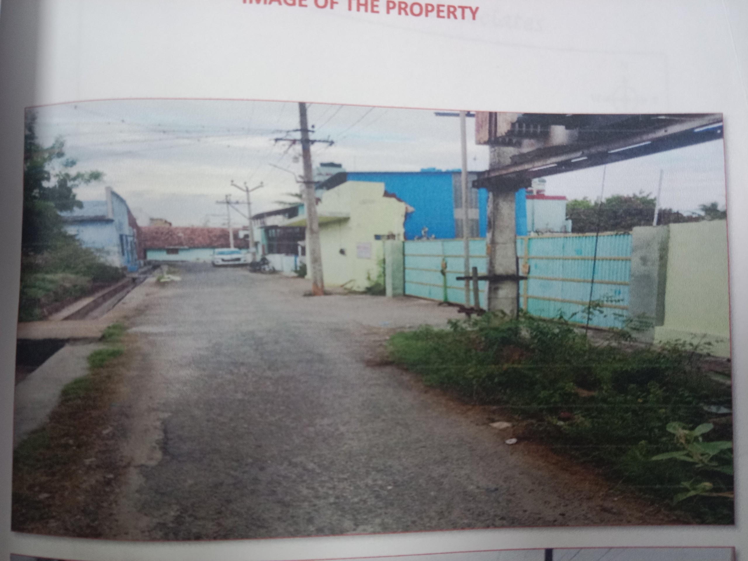 Auction Image
