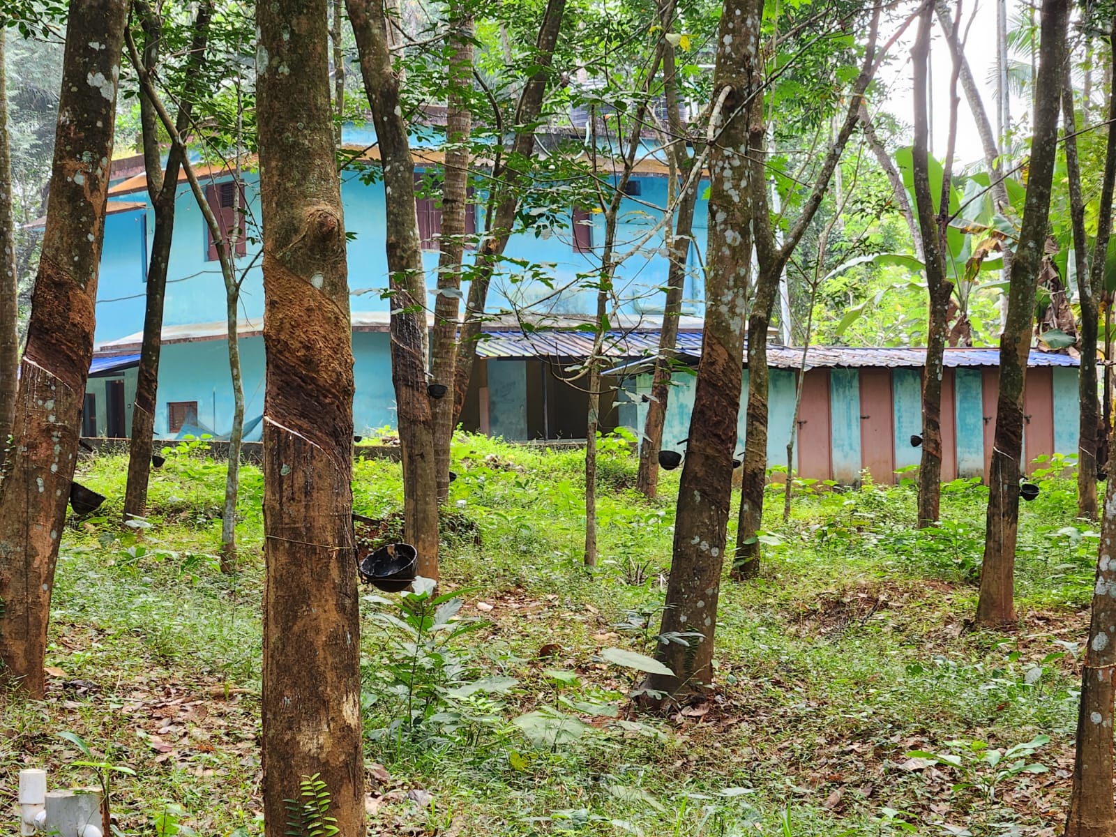 Property bearing Old No. 11, New No. 22, Venkatesan Street, T. Nagar, Chennai-600017, measuring an extent of 2400 sq.ft. comprised in R.S. No. 1241/1, T.S. No. 4169, Block No. 70 of Mylapore-Triplicane Taluk, Chennai District, standing in the name of Mr.S.V.Subramaniam.