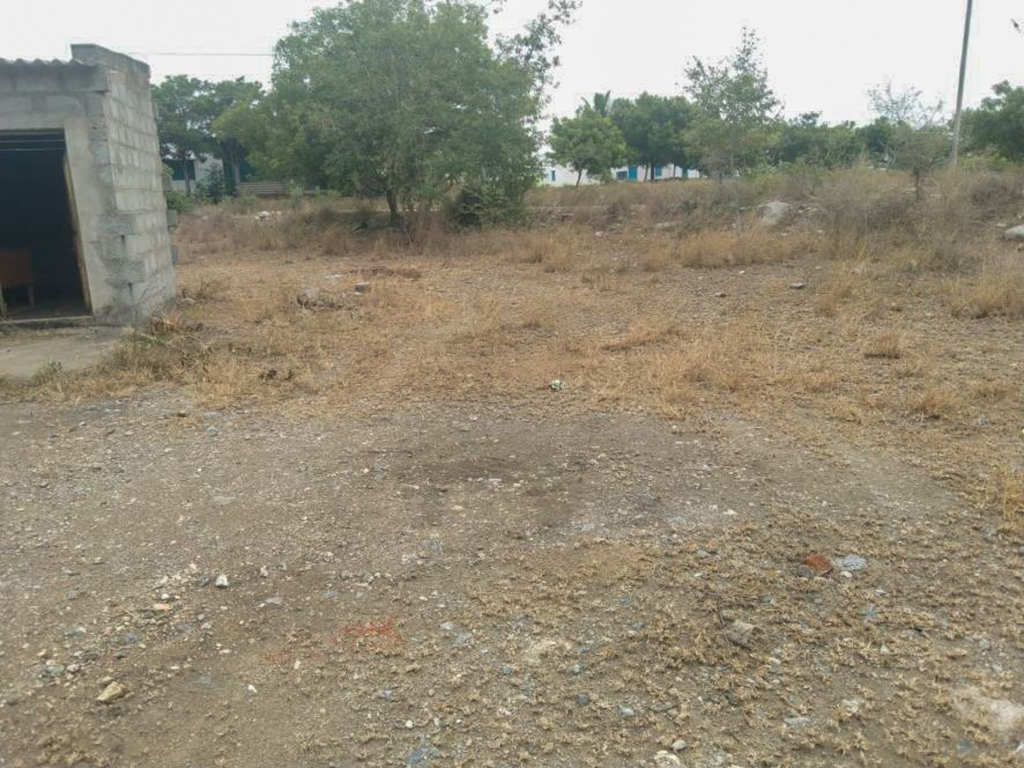 Individual House for Sale in Chinnamudalaipatti with good connectivity and essential amenities nearby.