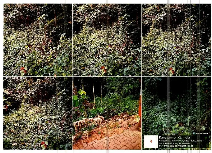 All that part and parcel of a total extent of 4.05 Ares of property in Re.Sy.No.190/9 of Kanayannur Village, Kanayannur Taluk, Ernakulam District owned by Mr. Chandrakumar.