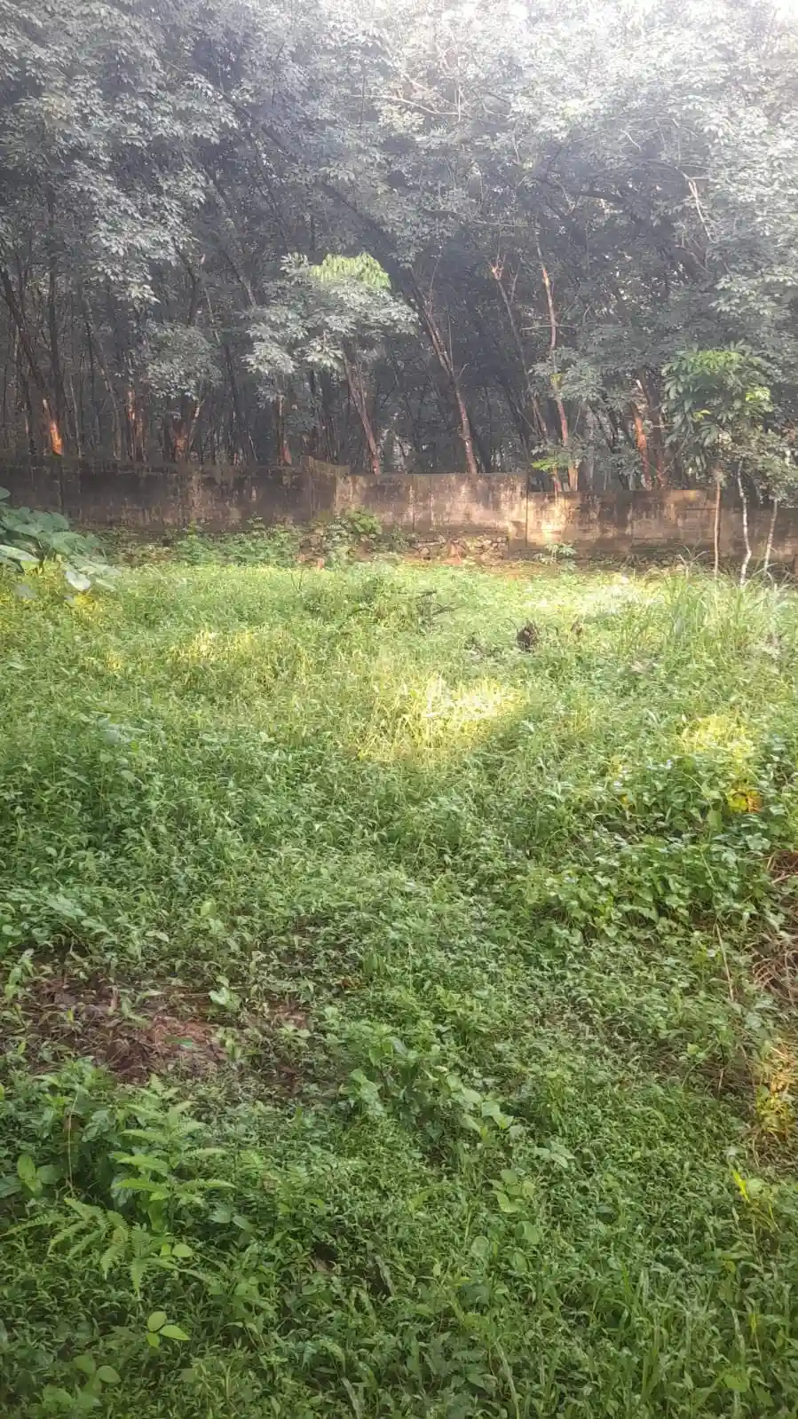 Property 1: 1048 acres of land having an extend of 1048 acres of property which is comprised in resyNo 58/2 (Old sy no 996/1A) in block 6 in Kodikulam village Thodupuzha Taluk In the name of Mr Tom George Alias Thomas VM. Boundaries:- North: Property of Thakarappallil Fredy and Mud road. South: Property of Kochukudiyl Vakkachan. East: Property of Kochu Kudiyl vakkachan. West: Property of Kochu Kudiyl vakkachan.