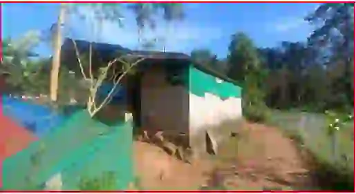 Agricultural land measuring 2.02 ares with a cattle shed, located in Konni Thazham Village, Konni Taluk, Pathanamthitta District. The property is bounded by Parapallil Deepa Kumari's property to the east, Panchayath Road to the north and west, and Mannil Puthenveettil Sasi's property to the south.