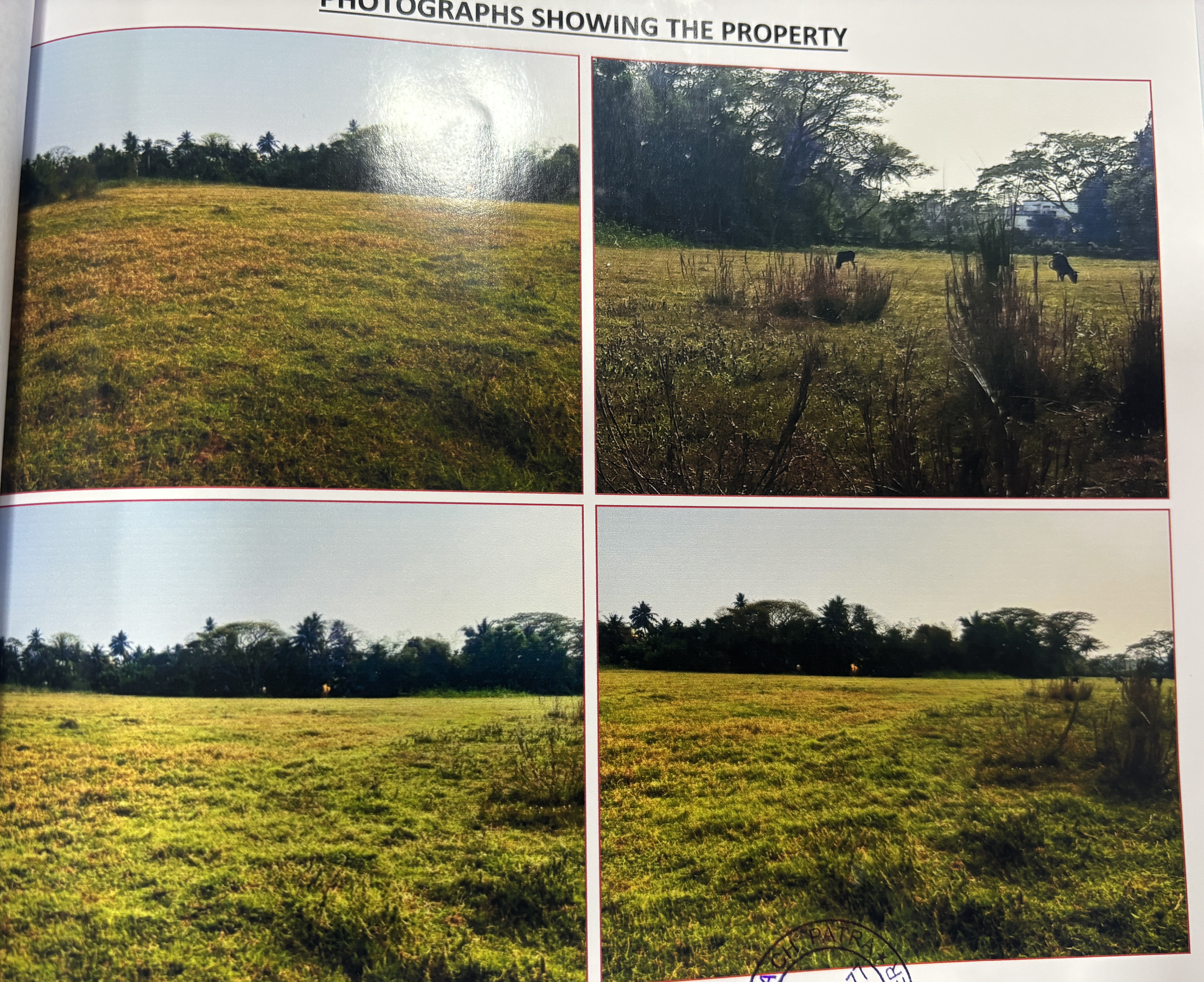 Consolidated auction with 5 unique properties from 5 borrower(s)