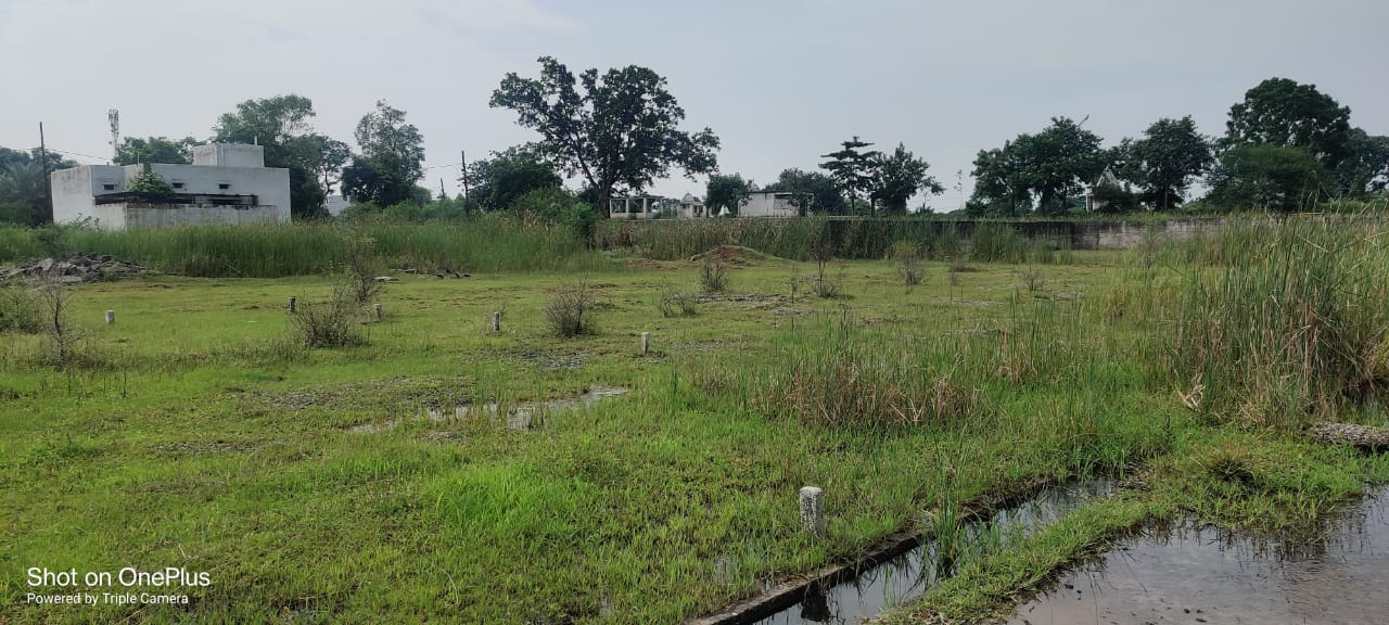Industrial Land
