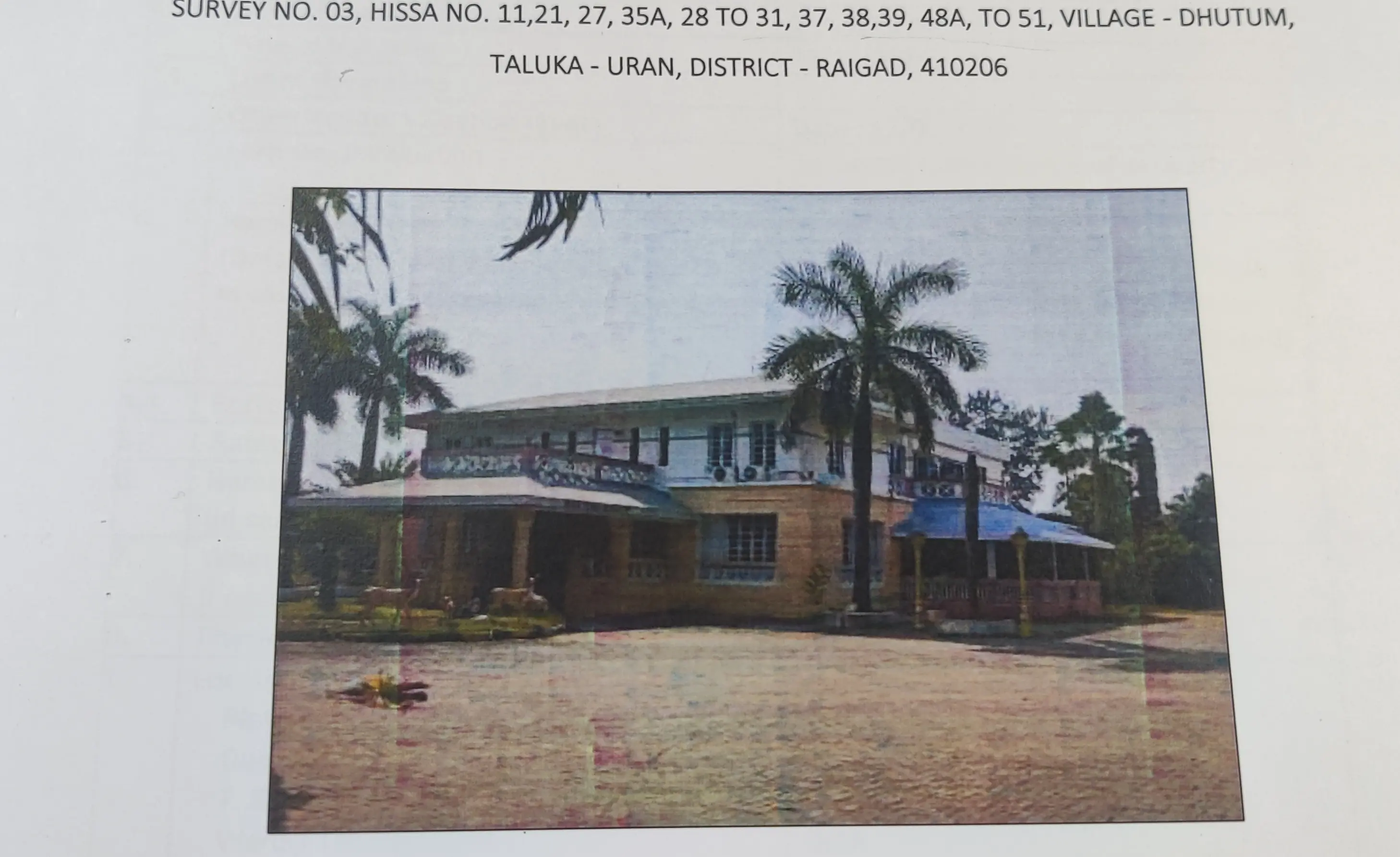 Auction Image