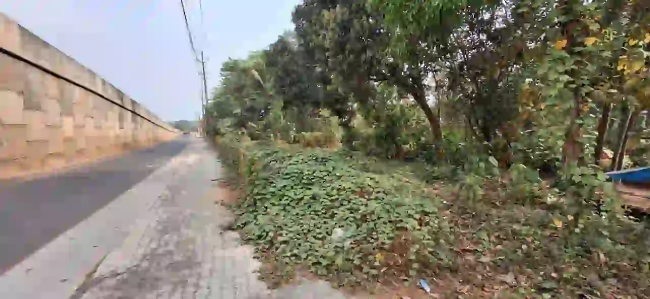 UREM of property which is a road access to above said property No 1 having an extent of 67 sq mtr (Undivided 20% right) in Re Sy No. 456/10,O S No 182/12A, 12B I 12B2, Morazha Amsom, Kanool Desom, Taliparamba Taluk, Kalyaseri Sub District, Kannur District.